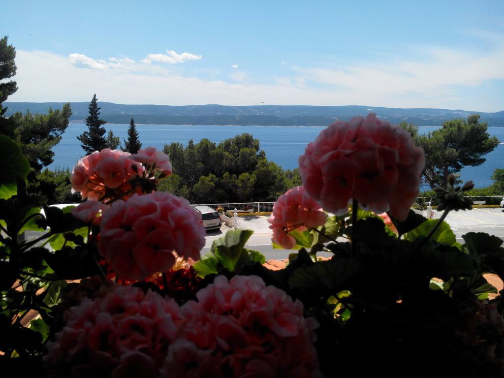 Villa Ljetni San Omiš Екстериор снимка