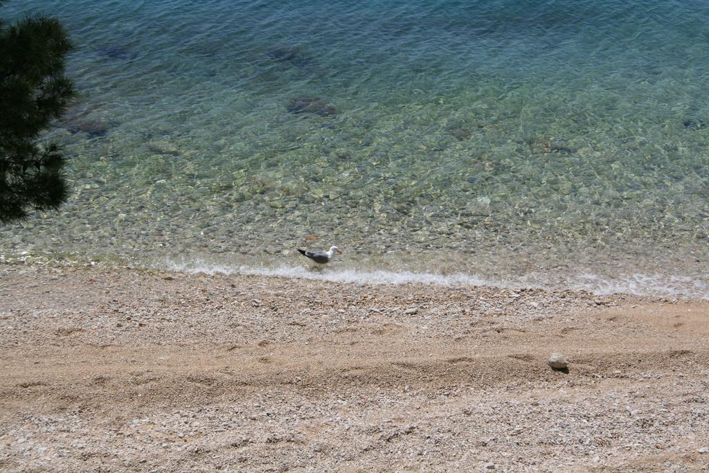 Villa Ljetni San Omiš Екстериор снимка